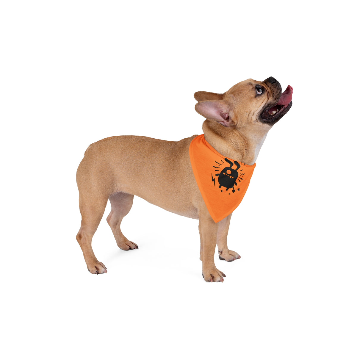 Honir's Orange Pet Bandana with Monster Print - Mommy & Me