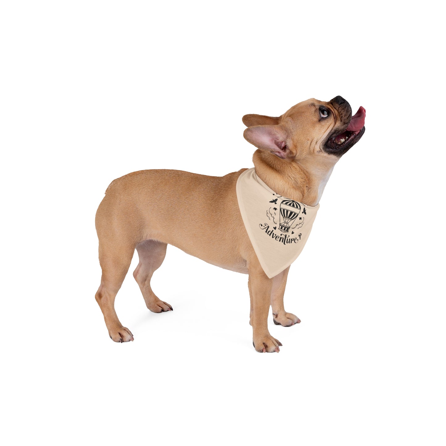Mommy & Me Pet Bandana | Ready for an Adventure (You are my Greatest Adventure)