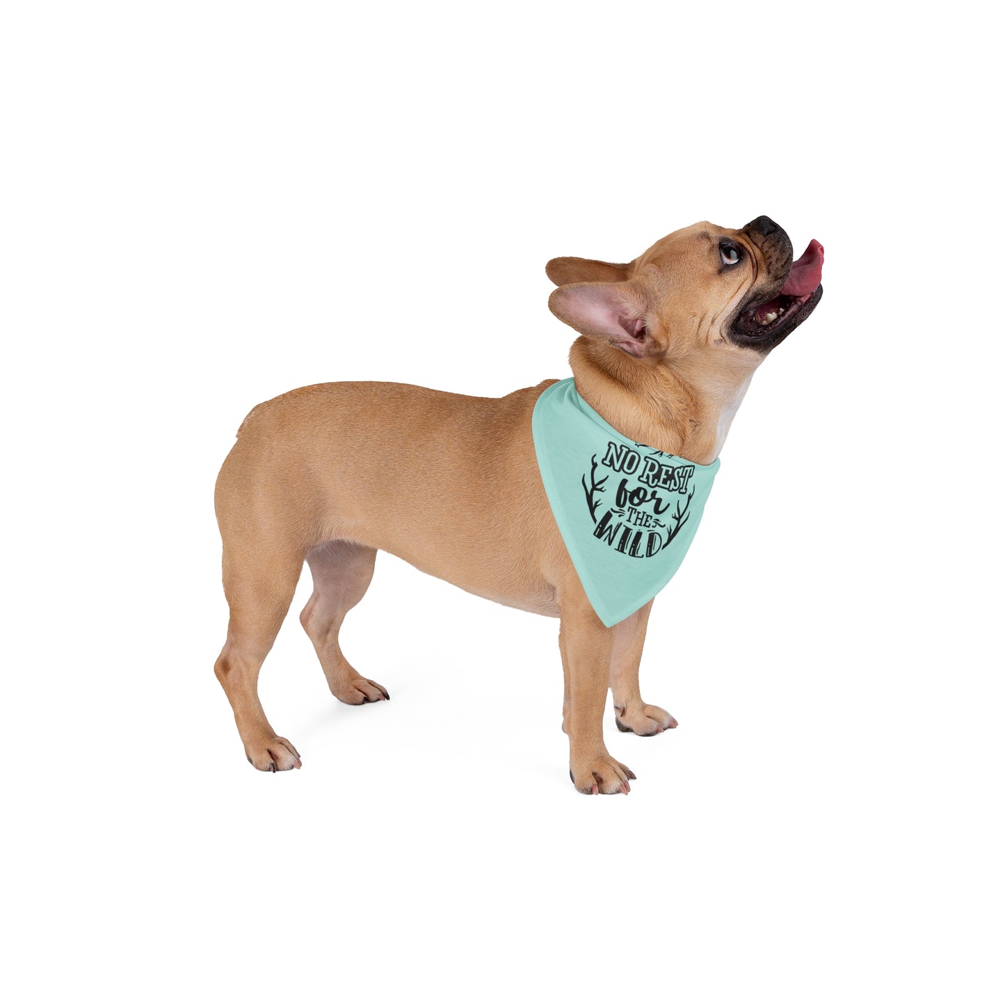Mommy & Me Pet Bandana | No Rest for the Wild
