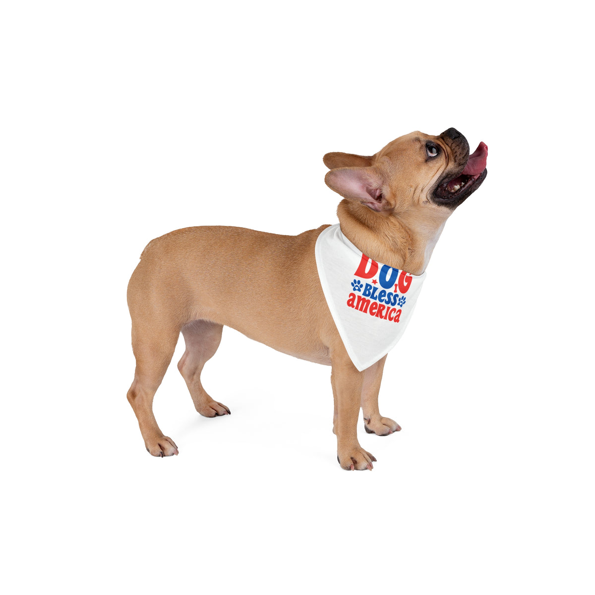 Dog Bless America Pet Bandana - 4th of July