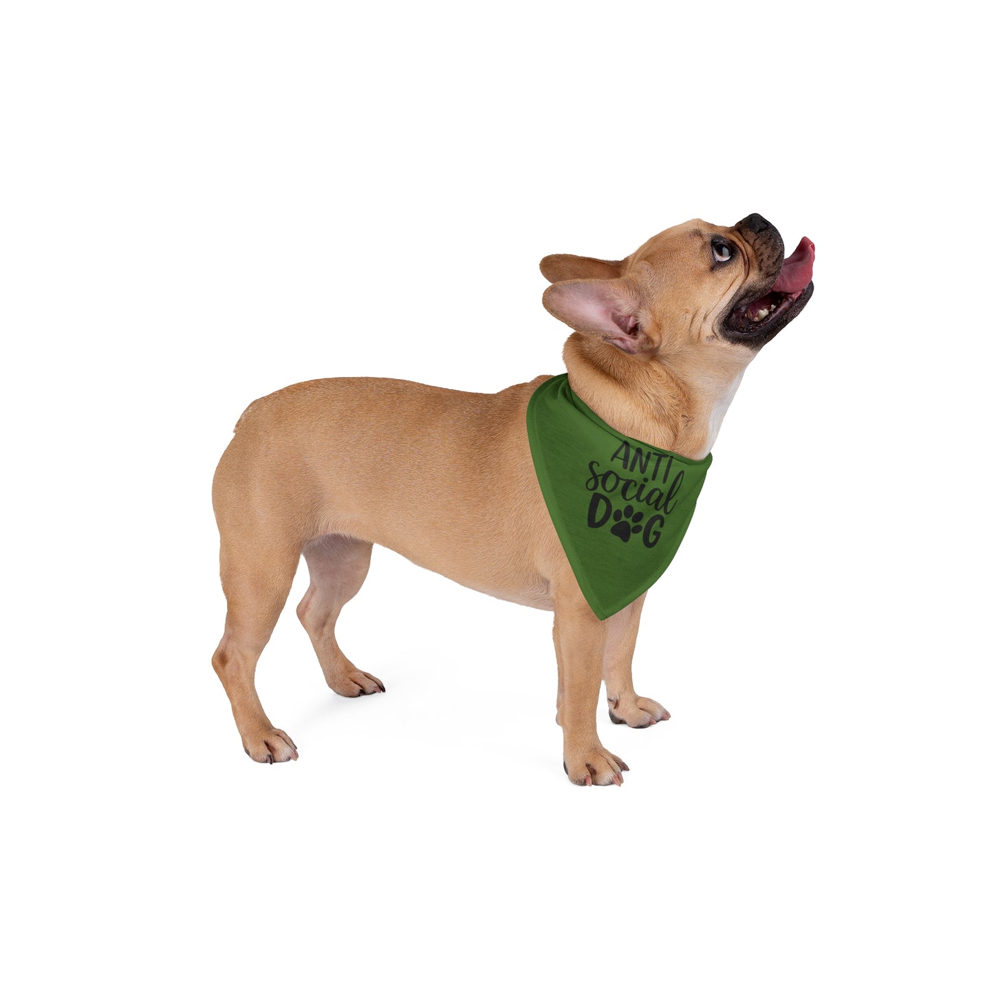 Anti Social Dog Bandana