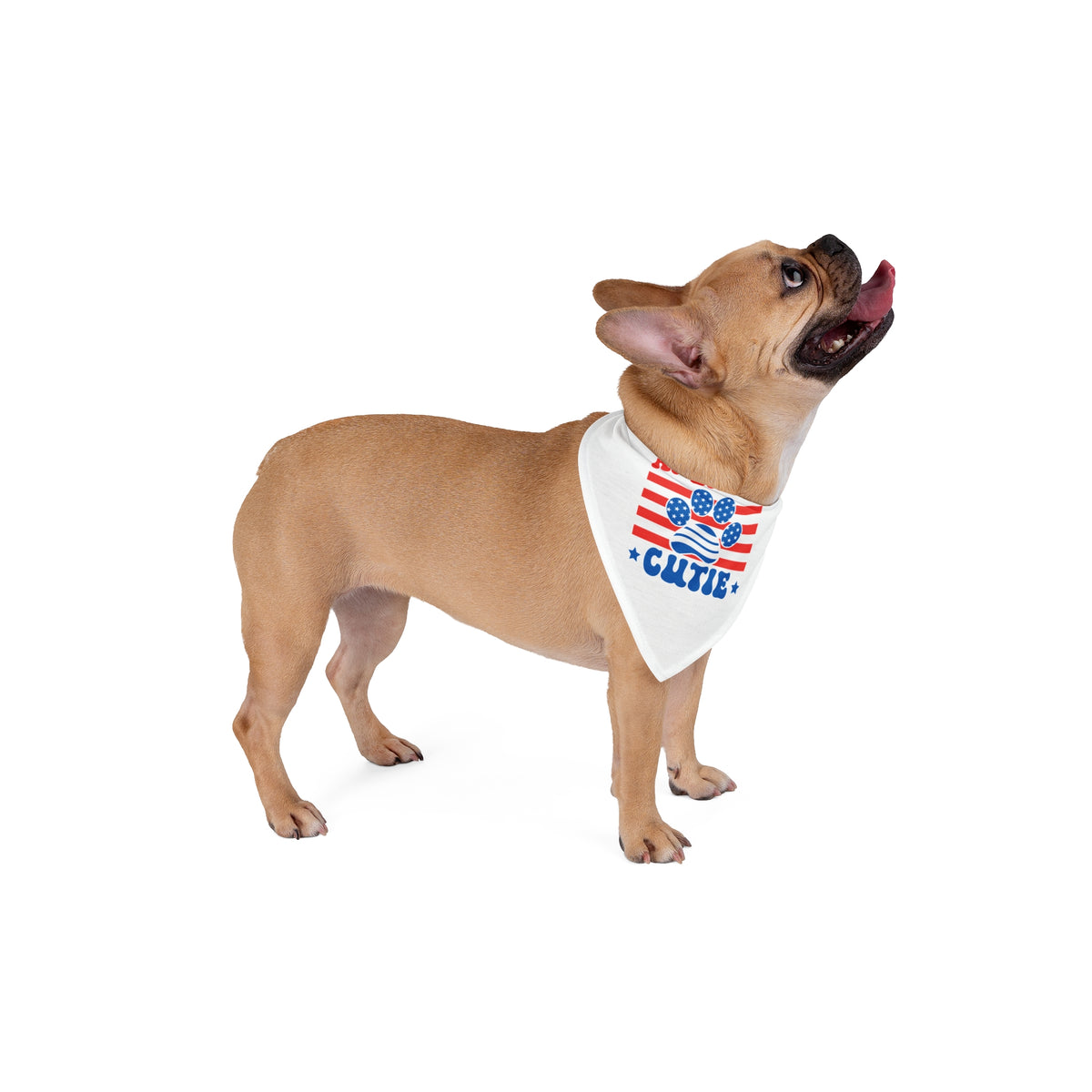American Cutie Pet Bandana - 4th of July