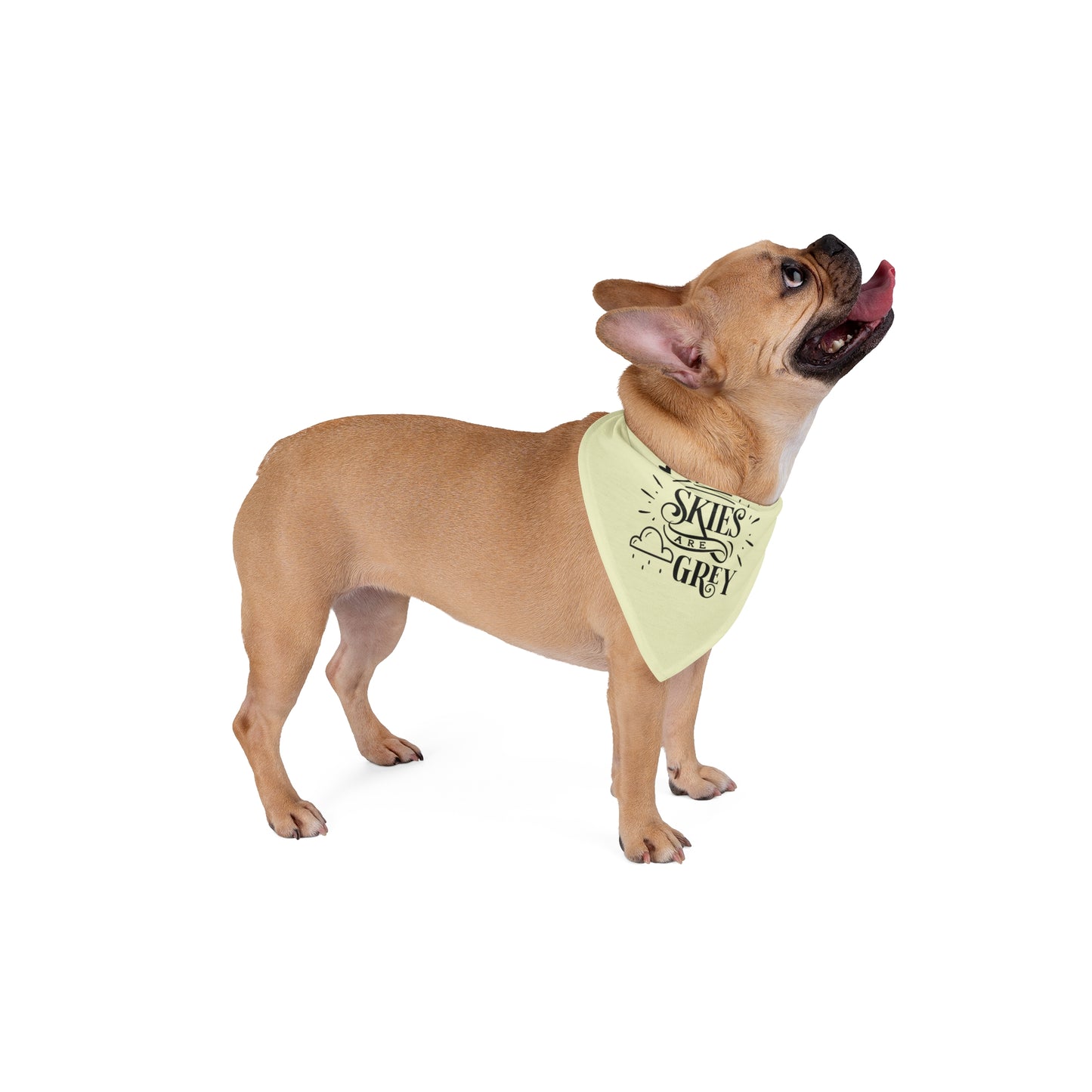 Mommy & Me Pet Bandana | When Skies are Grey (You Make Me Happy)